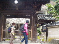 0612norakuro2.JPG