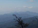 P1010008.JPG