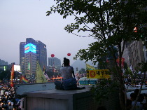080610b.jpg