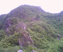 2009_0604_039.jpg
