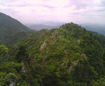 2009_0604_100.jpg