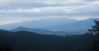 20110420d.JPG