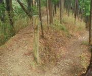 20110420e.JPG