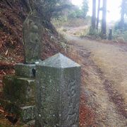 20110420f.JPG