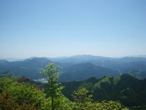 20110519cc.jpg