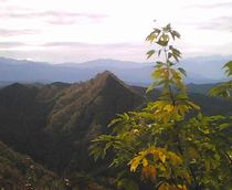 2011_1110_148.jpg