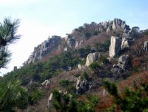 金井山サンゲ峰 登山