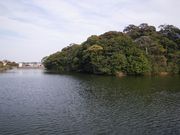 IMGP0662.JPG
