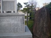 IMGP0672.JPG