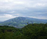 IMGP0951.JPG