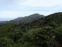 P3110006.JPG