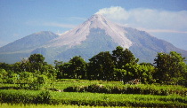 merapi11.JPG