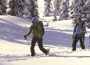 snowshoue.tuor1.jpg