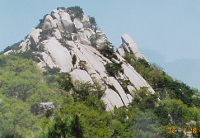 tobon6.JPG