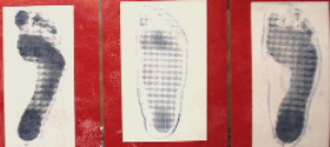 footprint1.JPG
