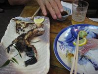 IMGP0310.JPG