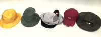 cap1.JPG