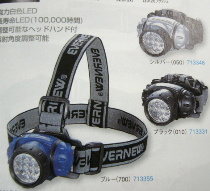 ev%20LED12.jpg