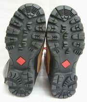 evo%20sole.JPG