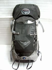 kestrel28-3-ML.JPG