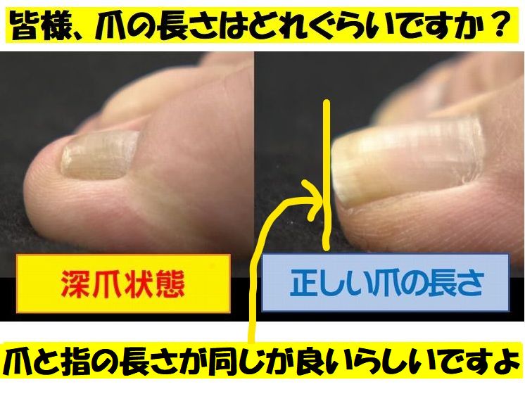 登山にも影響するのかな？